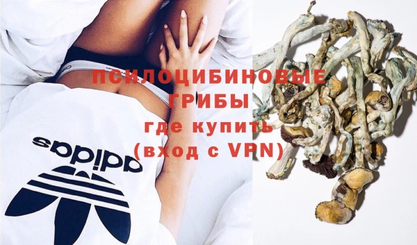 круглые Белокуриха