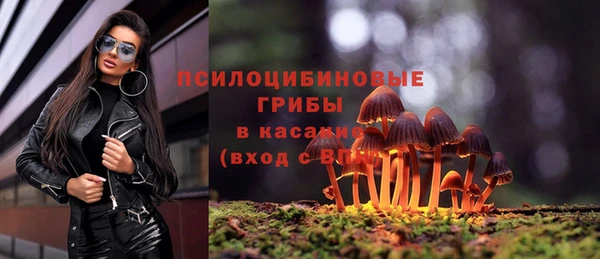 ПСИЛОЦИБИНОВЫЕ ГРИБЫ Беломорск