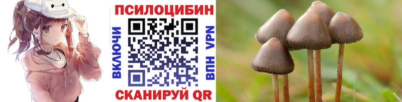 сколько стоит  Ворсма  Псилоцибиновые грибы Psilocybine cubensis 